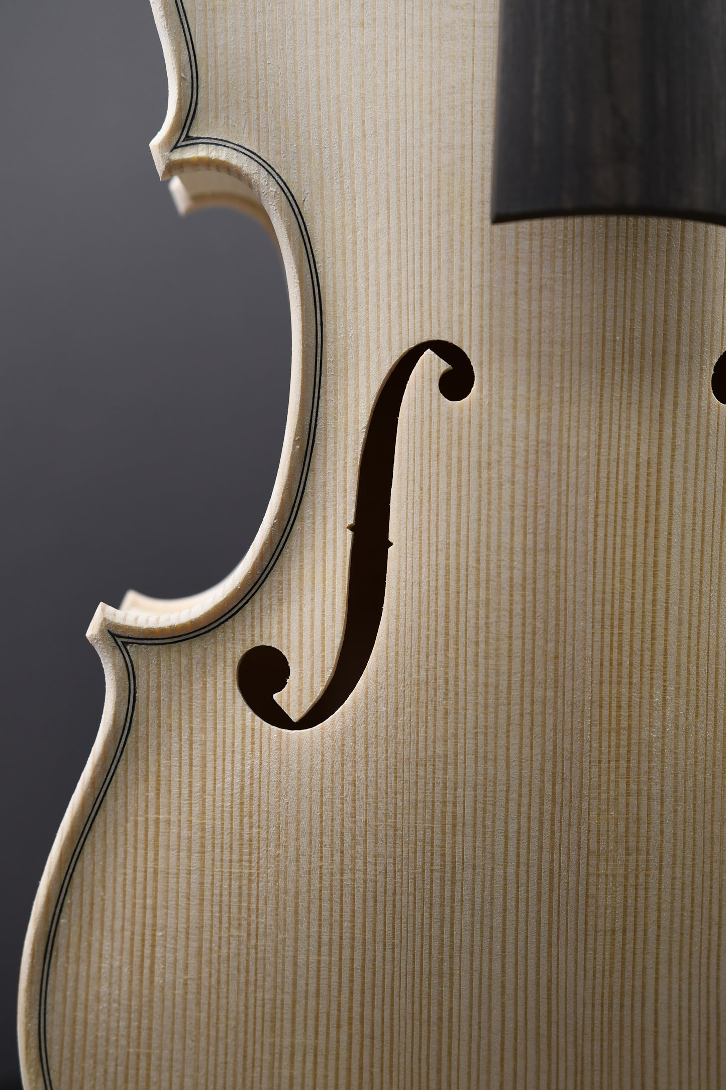 Vioară Nr. 59 - Instrument alb