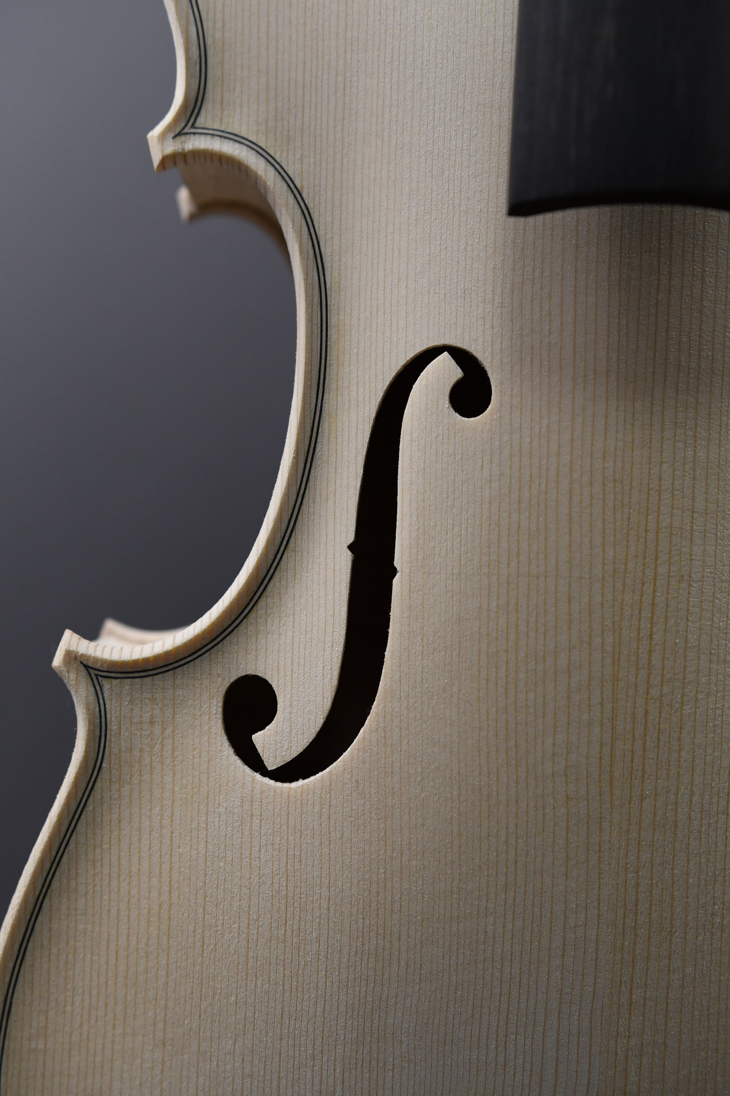 Vioară Nr. 117 - Instrument alb