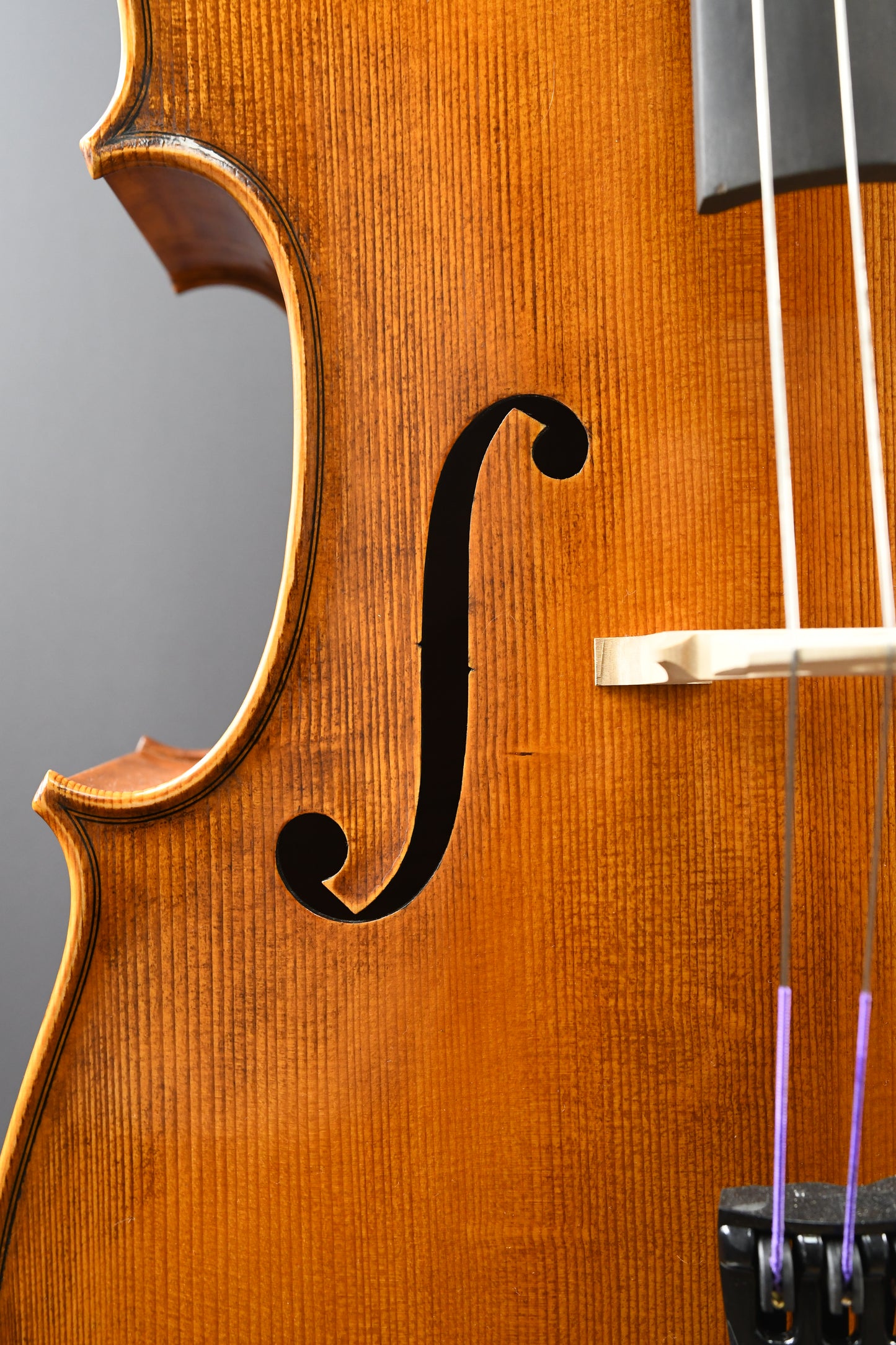 Violoncel Nr. 16 - Instrument complet