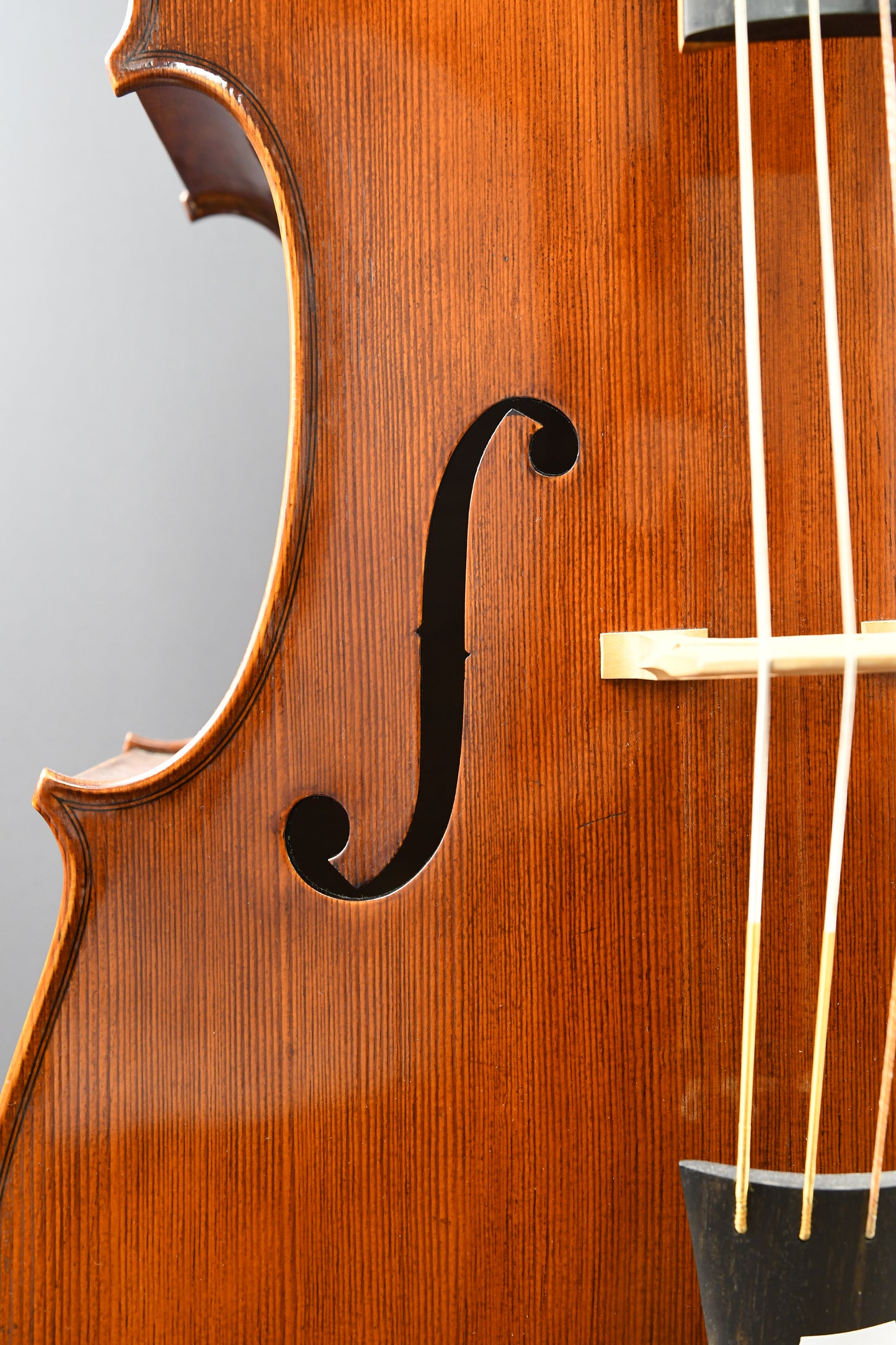 Cello No. 19 - Complete instrument