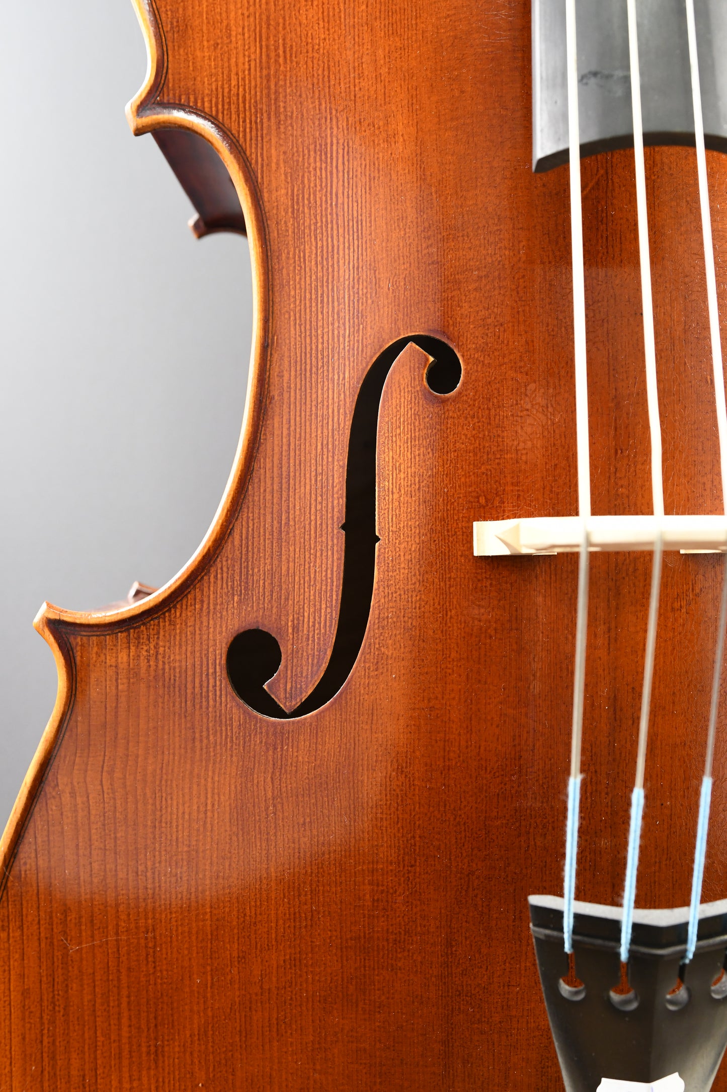 Violoncel Nr. 21 - Instrument complet