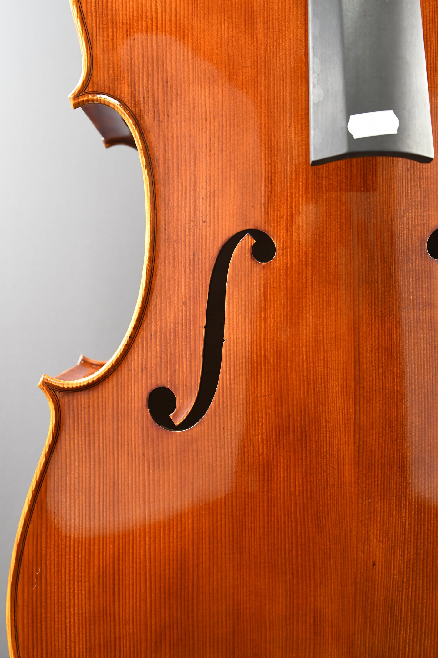 Cello No. 5 - Incomplete instrument