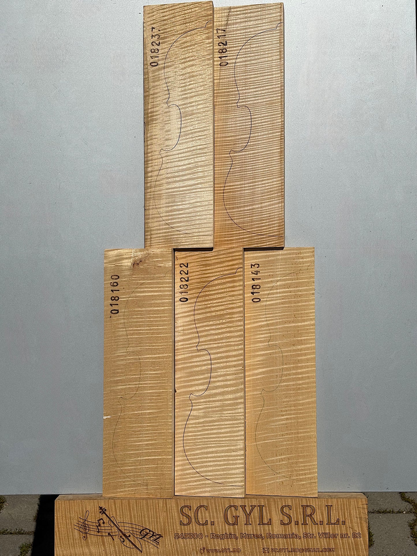 Materiale Vioară Nr. 19