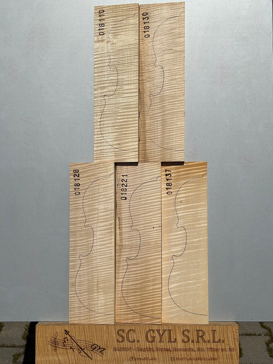 Materiale Vioară Nr. 6