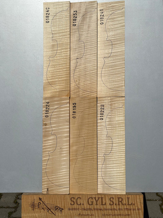 Materiale Vioară Nr. 12