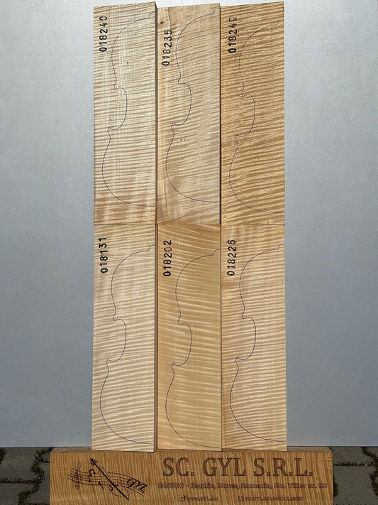 Materiale Vioară Nr. 13