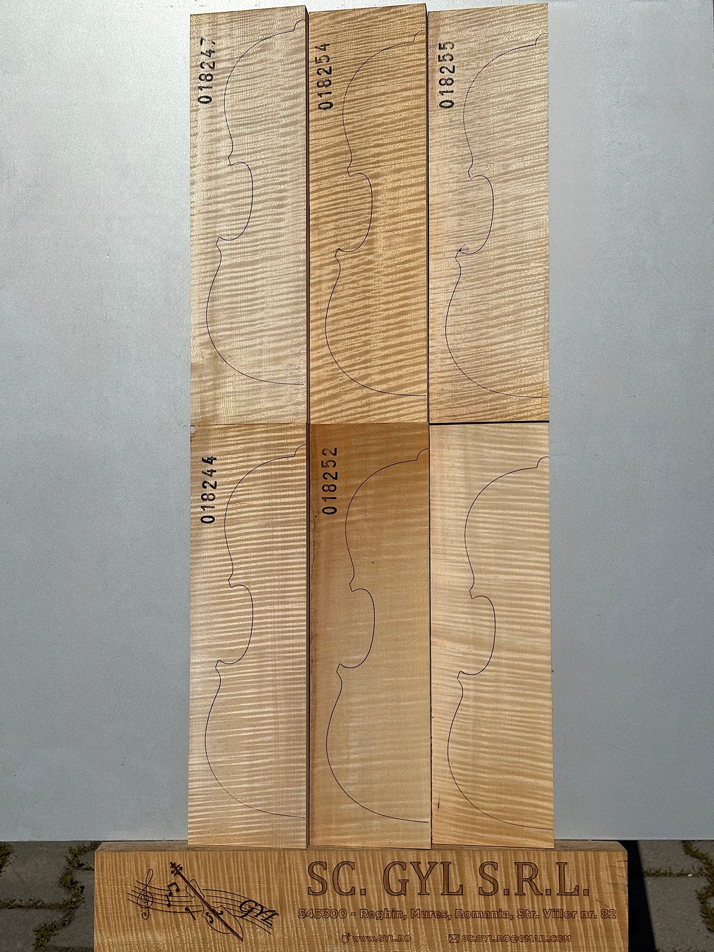 Materiale Vioară Nr. 16