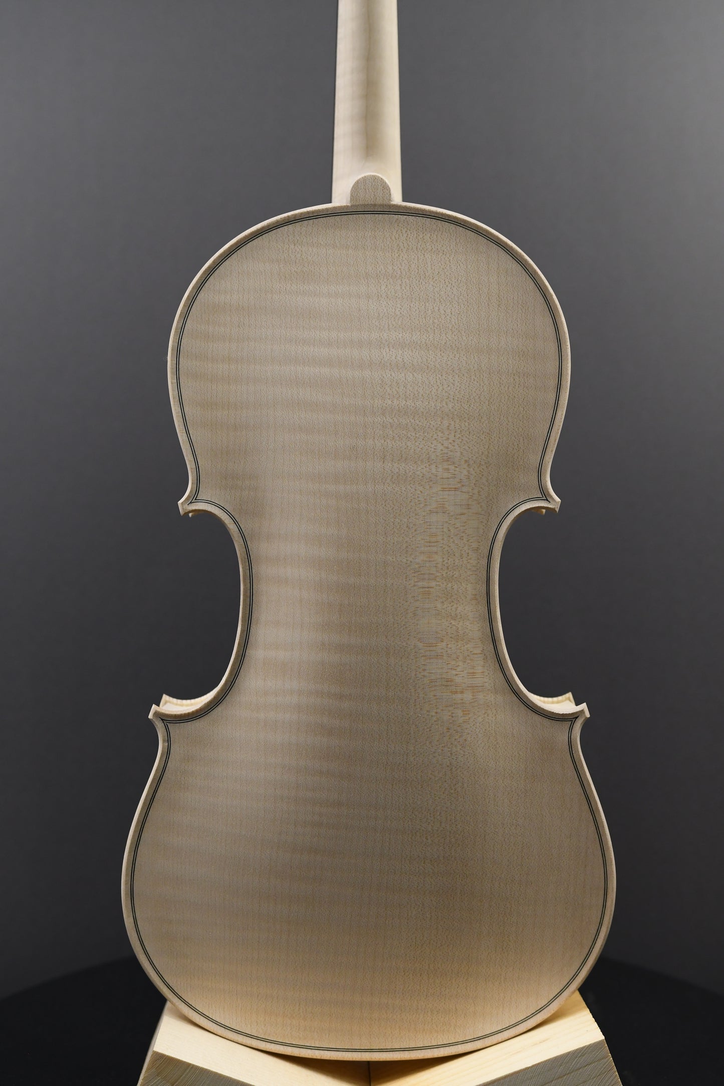 Vioară Nr. 107 - Instrument alb