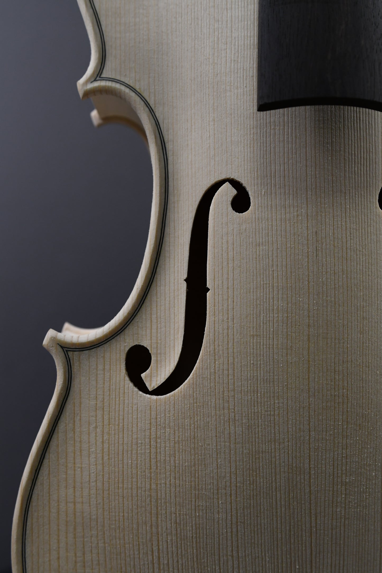 Vioară Nr. 120 - Instrument alb