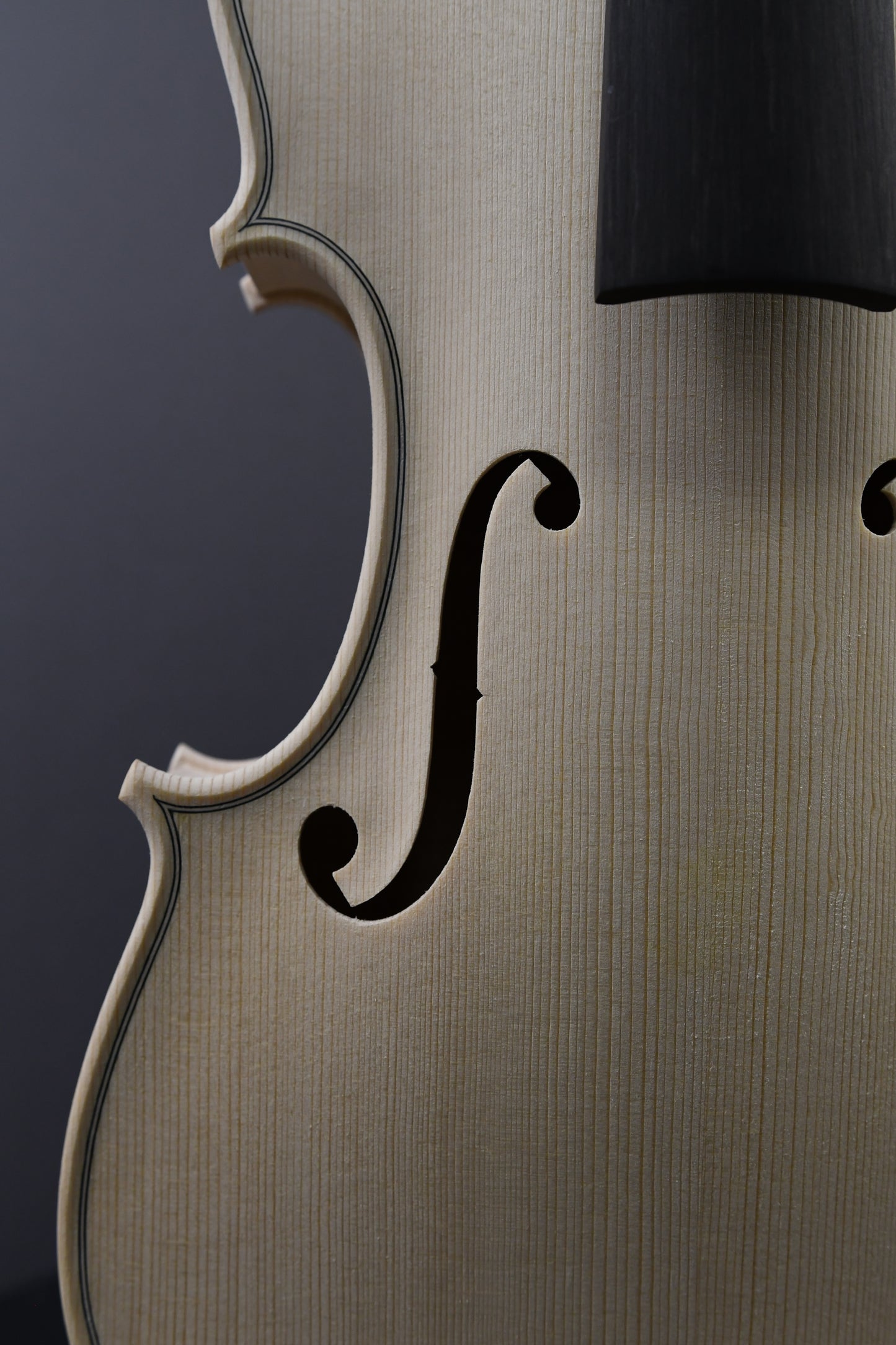 Vioară Nr. 123 - Instrument alb