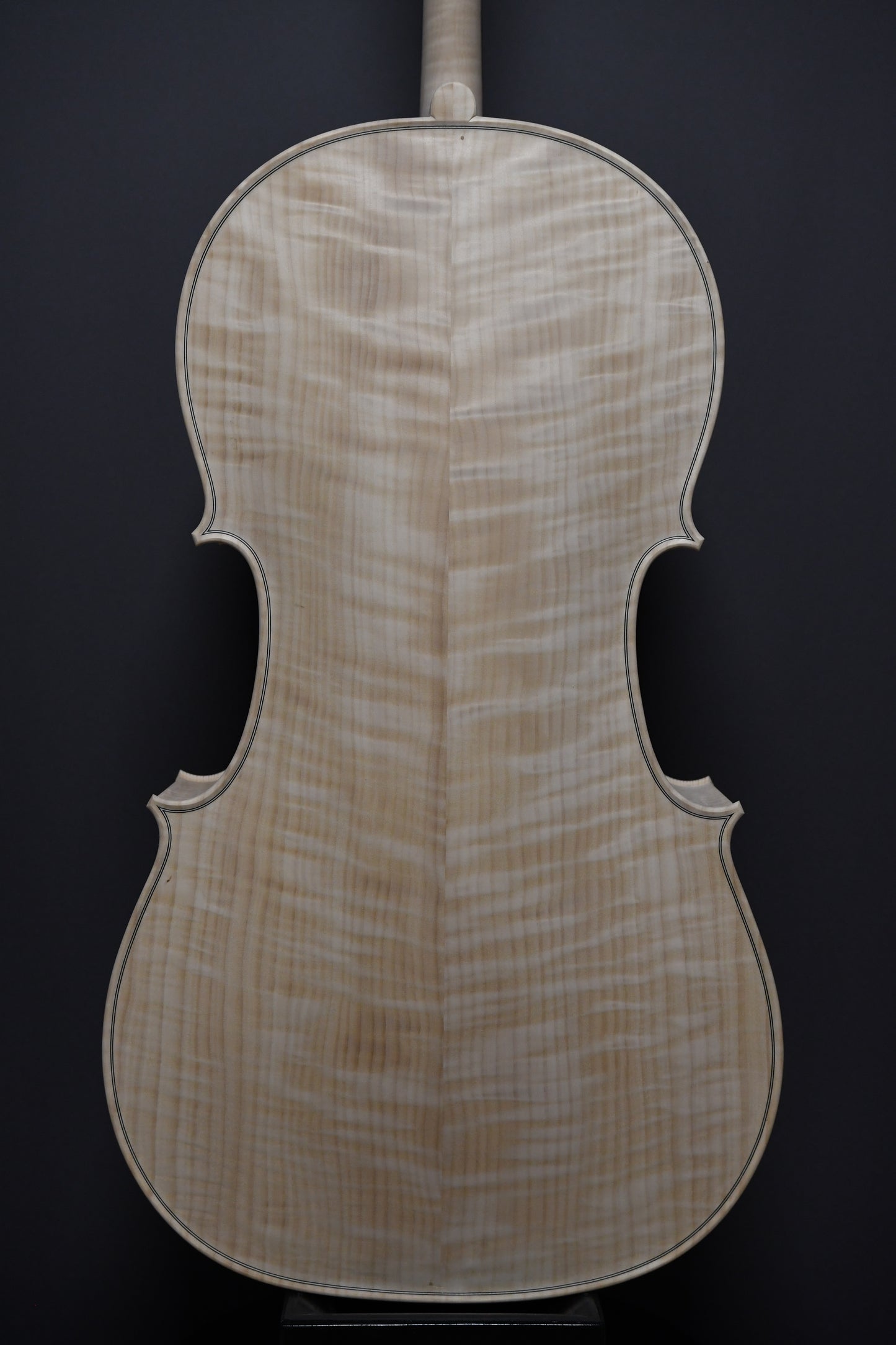 Violoncel Nr. 16 - Instrument alb