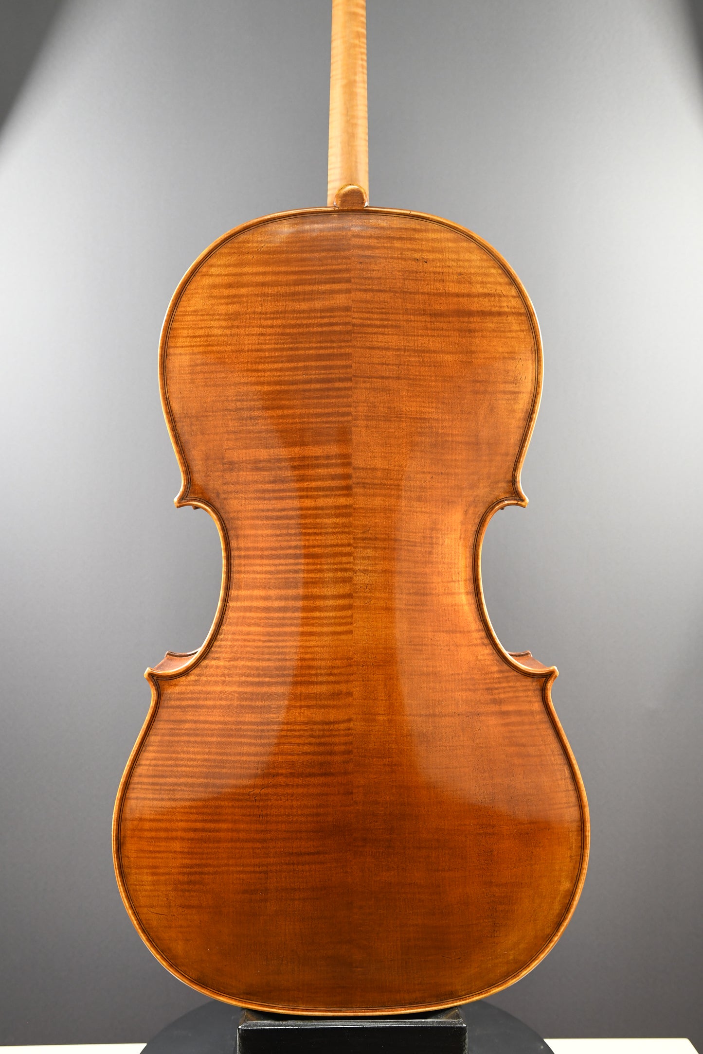 Violoncel Nr. 14 - Instrument complet