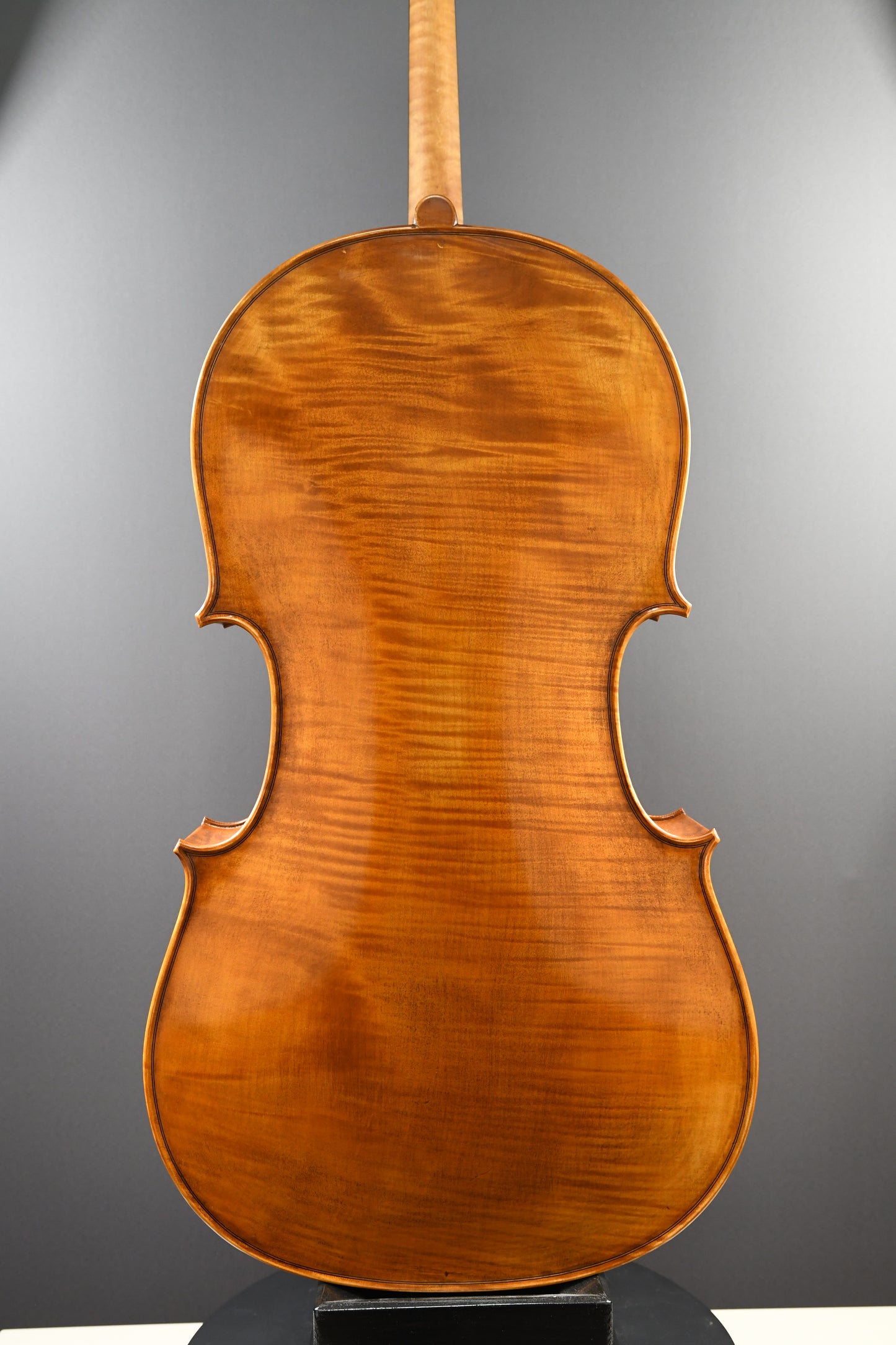 Violoncel Nr. 16 - Instrument complet