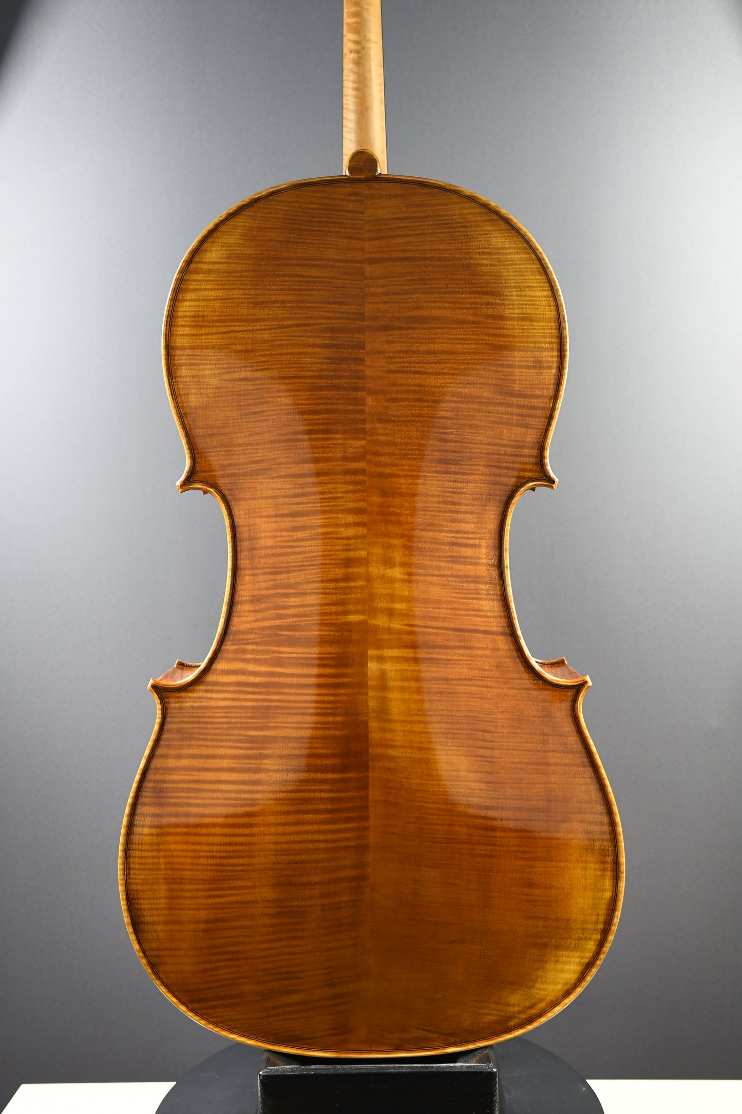 Violoncel Nr. 18 - Instrument complet