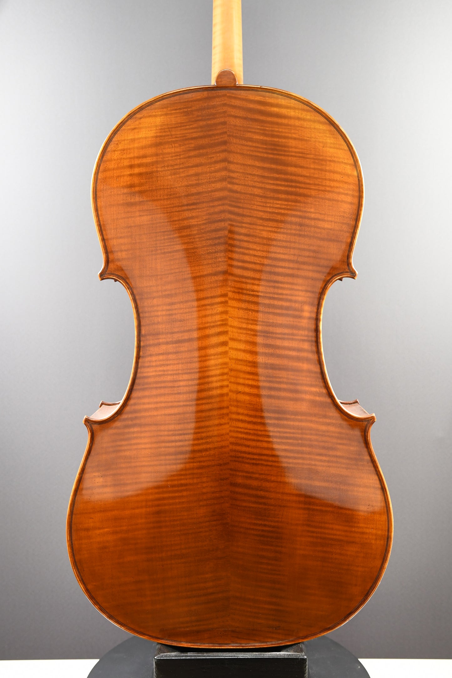 Violoncel Nr. 19 - Instrument complet