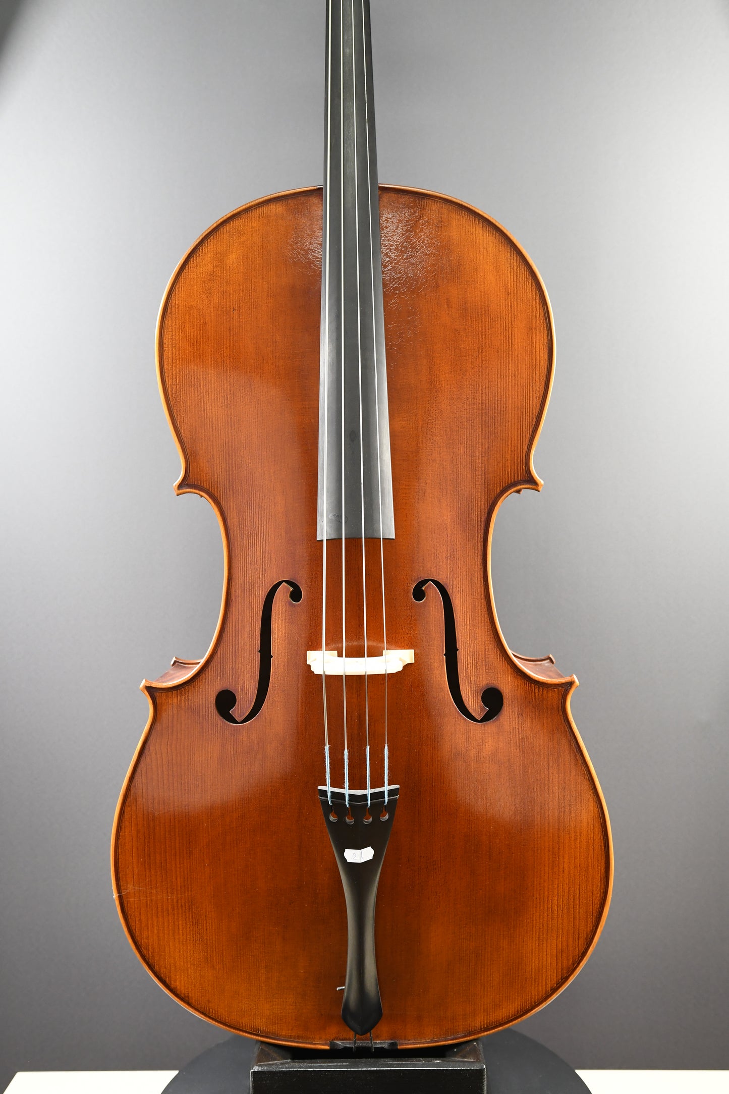 Cello No. 21 - Complete instrument