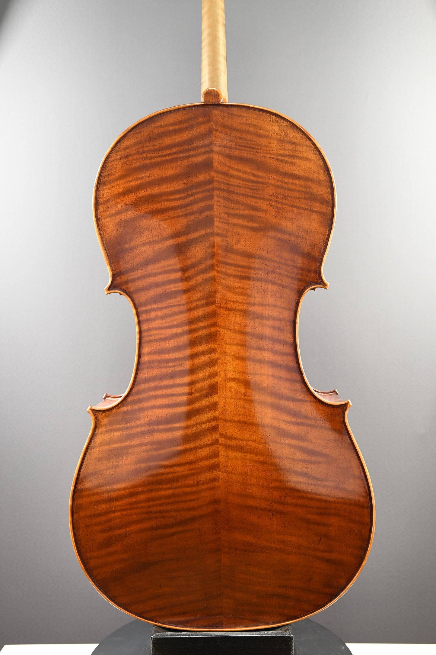 Cello No. 21 - Complete instrument