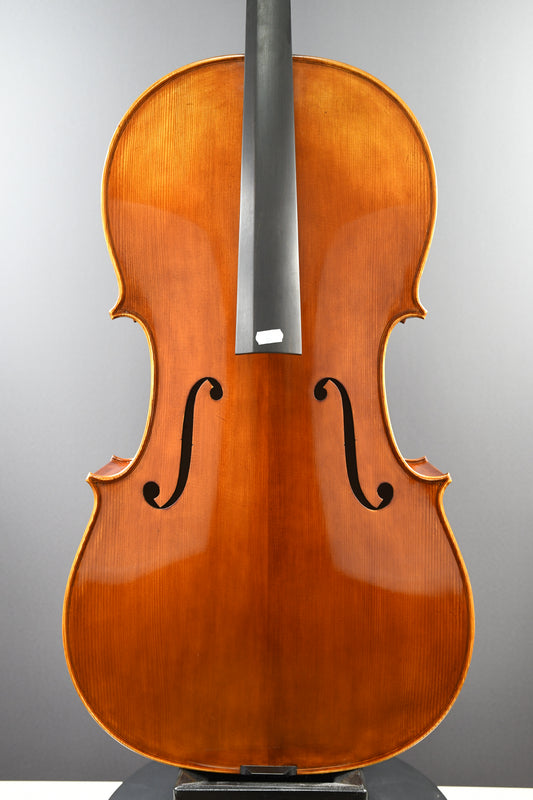 Cello No. 6 - Incomplete instrument