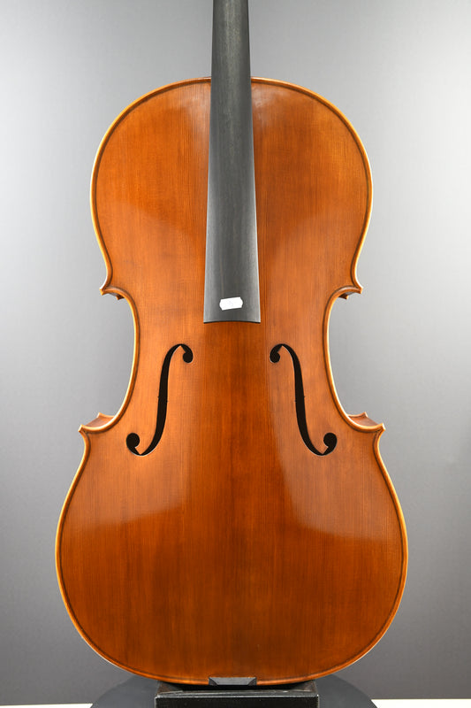 Cello No. 9 - Incomplete instrument