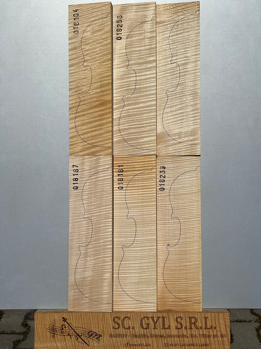 Materiale Vioară Nr. 18