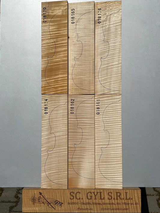 Materiale Vioară Nr. 20