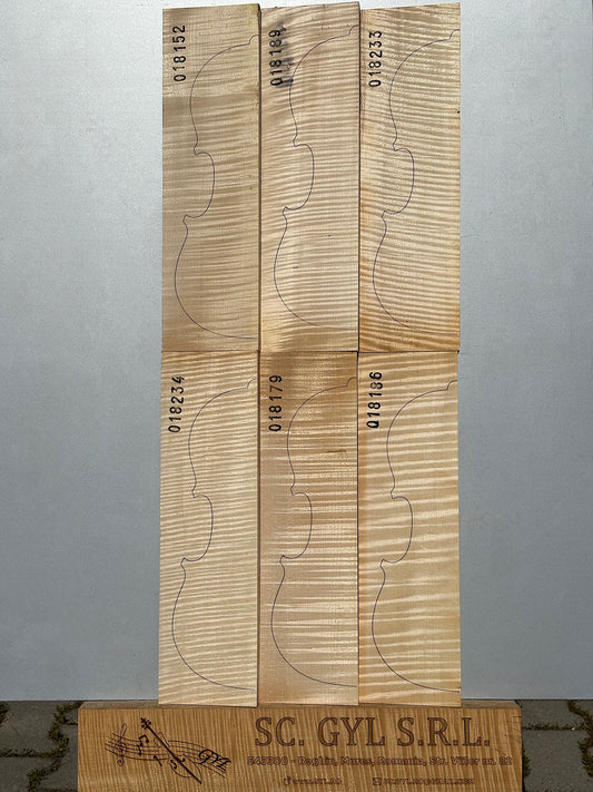 Materiale Vioară Nr. 23